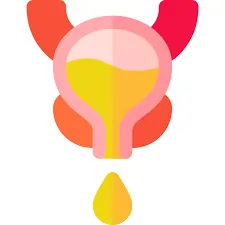 Steady Urine Stream Icon SEO