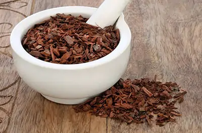 Broccoli Sprout and Pygeum Extract SEO