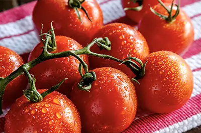 Lycopene Antioxidant SEO